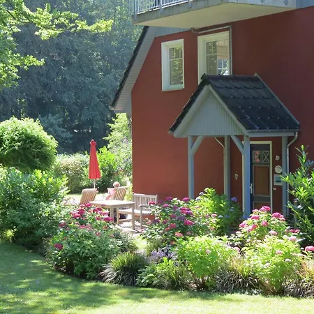Silbermoewe Heringsdorf (Usedom)