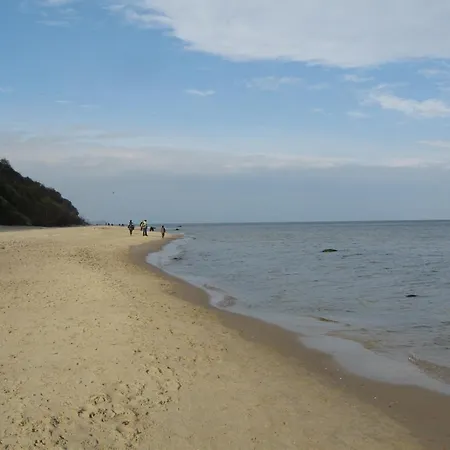 Silbermoewe Heringsdorf (Usedom)